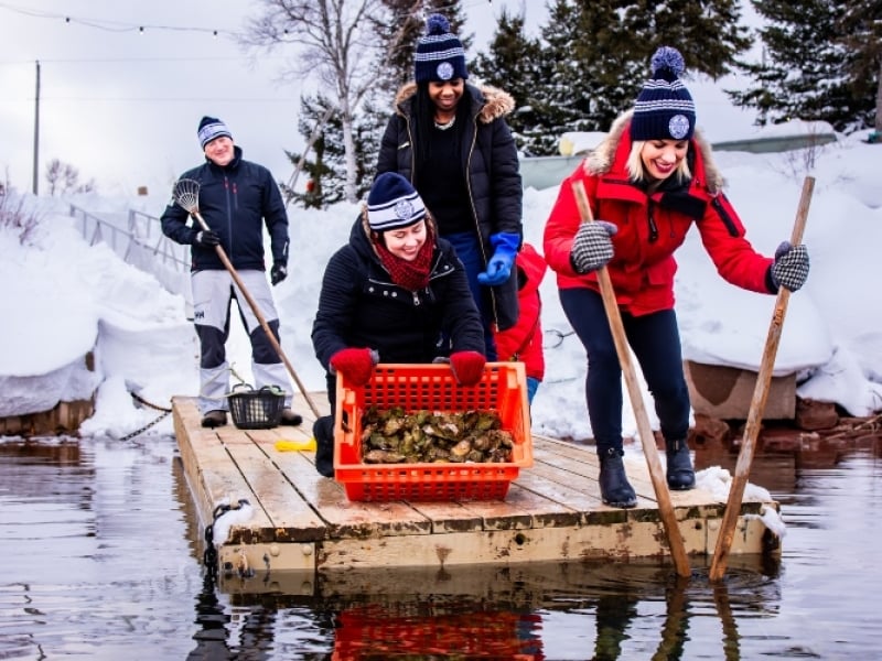 Tranquility Cove's Ice Fishing for Oysters